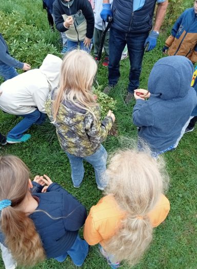 Kartoffelfest im Herbst